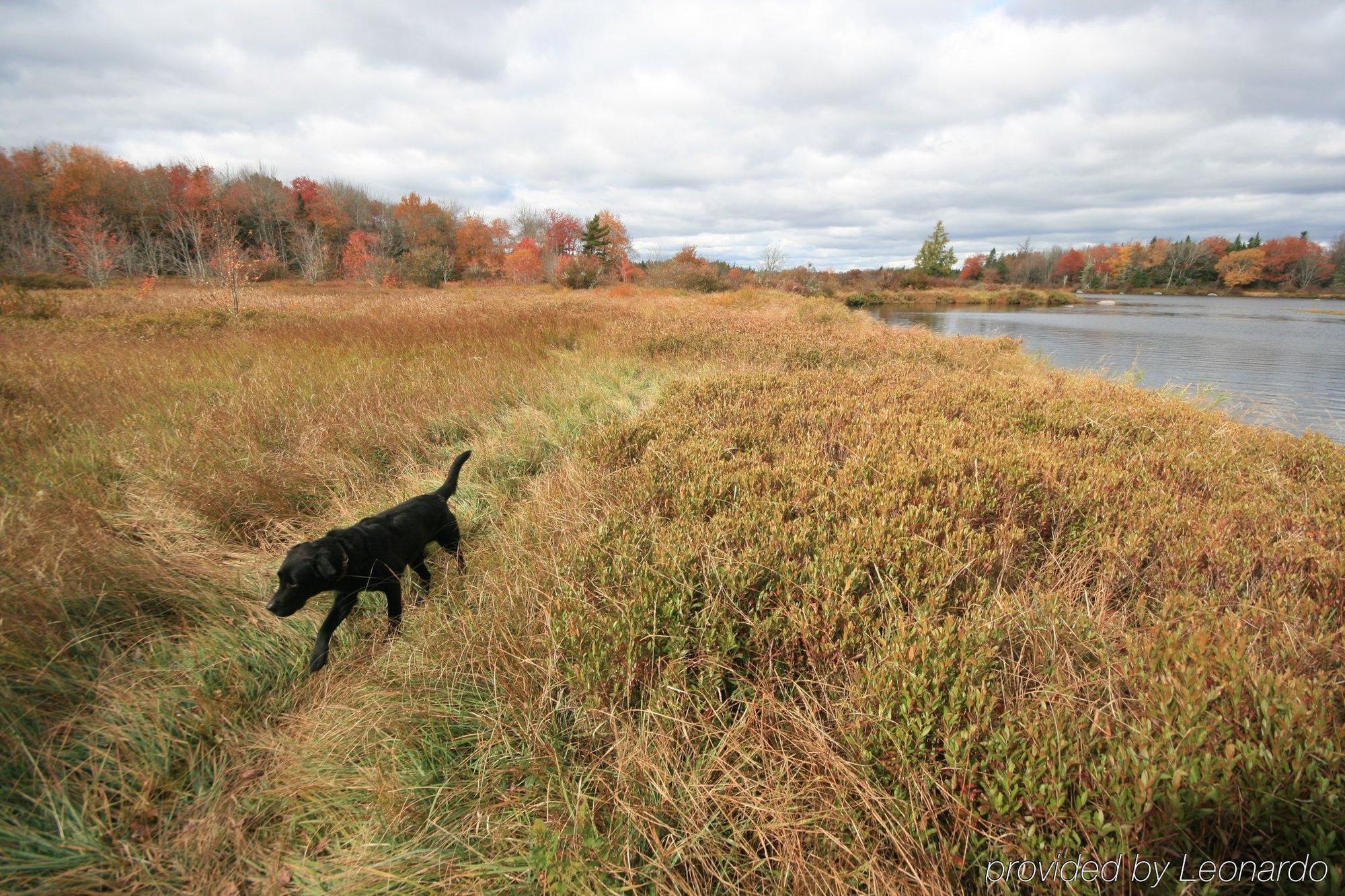 Trout Point Lodge Of Nova Scotia East Kemptville Einrichtungen foto